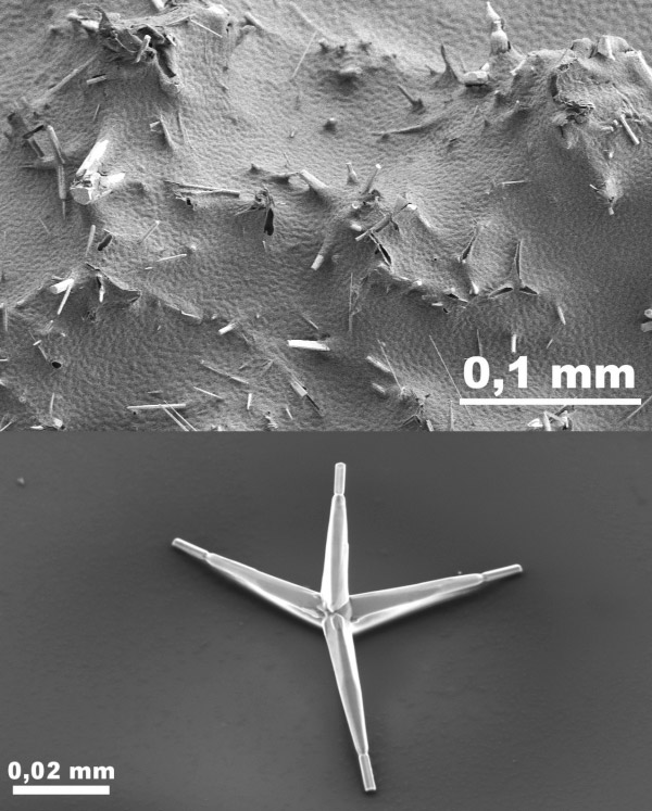 нанокристалічні тетраподи оксиду цинку